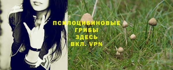 спайс Армянск