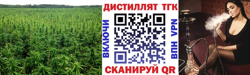 купить   Нытва  ТГК концентрат 