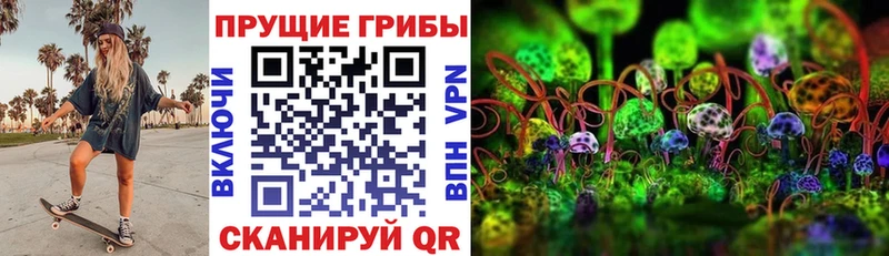 Псилоцибиновые грибы мицелий  omg онион  Нытва  как найти наркотики 